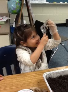 Campbell VPI student uses a microscope to explore a worm. 