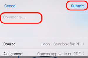 Canvas app PDF comments
